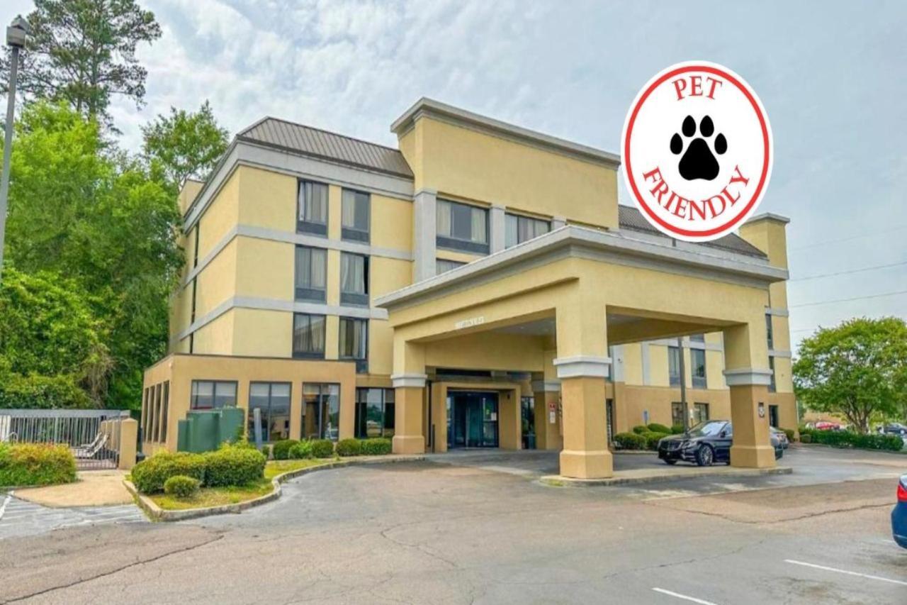 Hotels that allow dogs store near me